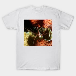 Arrow Crab at Night T-Shirt